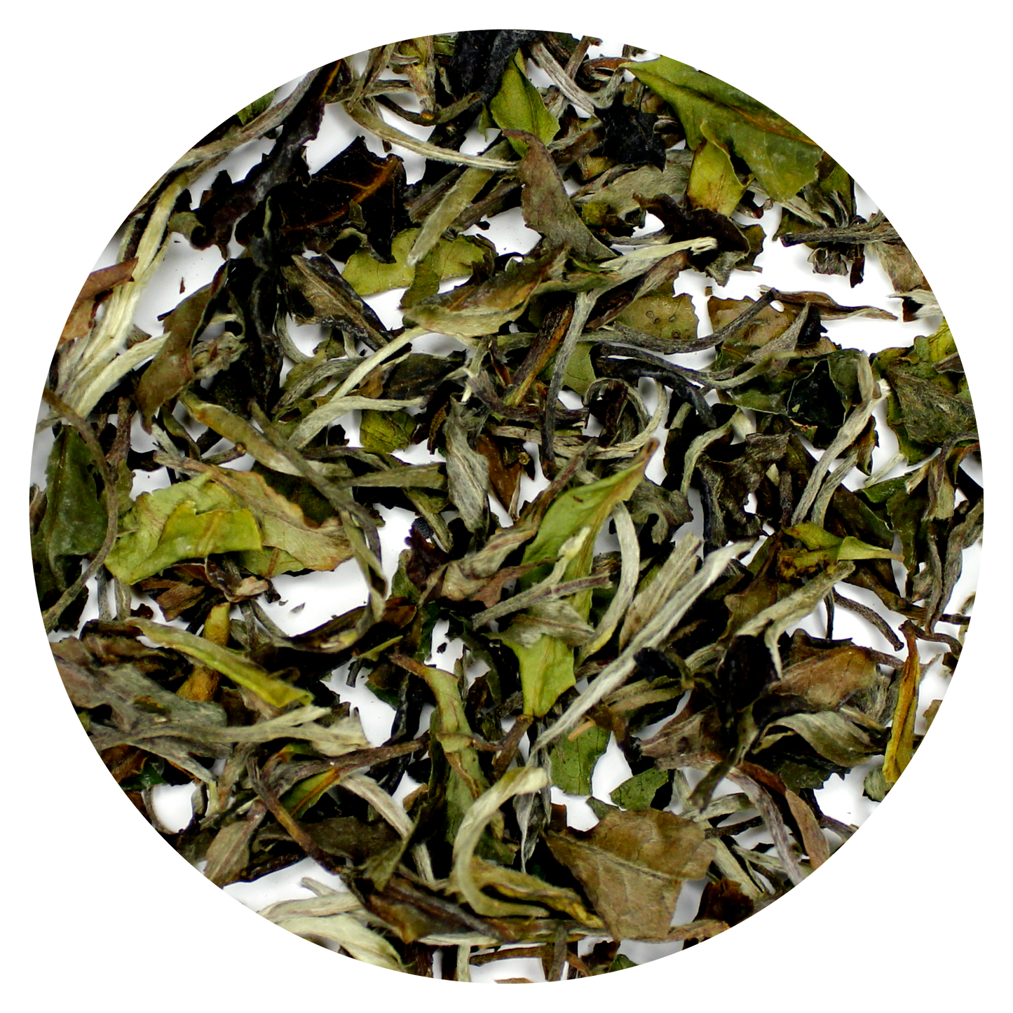 White Peony: Bai Mu Dan