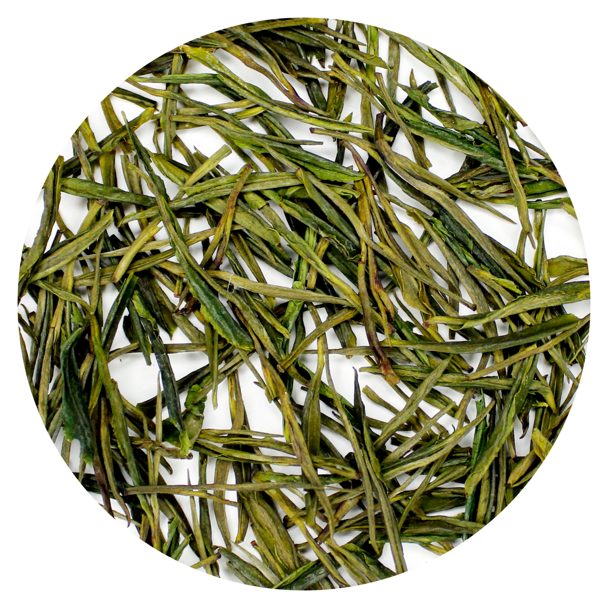 Anji Bai Cha