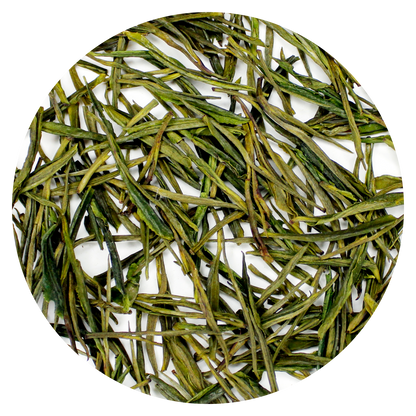 Anji Bai Cha