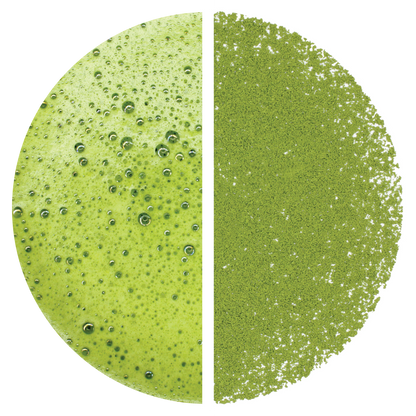 Matcha: Aoarashi (Marukyu Koyamaen) - 40 g Tin