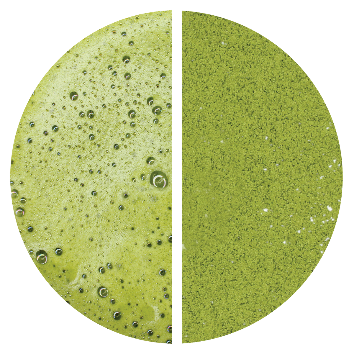 Matcha: Premium (Marukyu Koyamaen)
