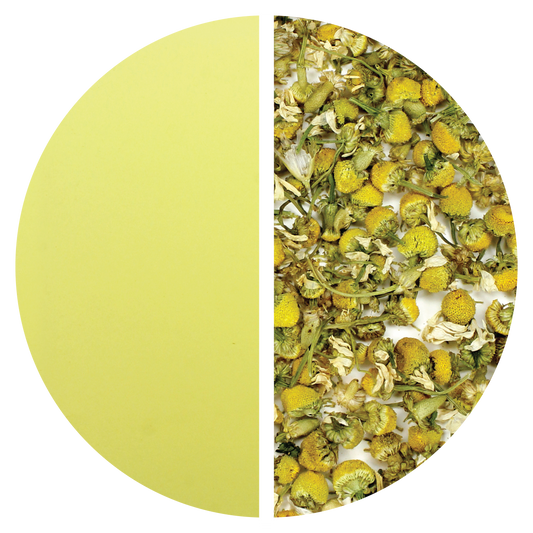 Chamomile Flowers