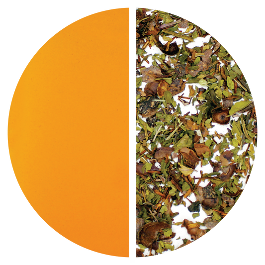 Cocoa Mint