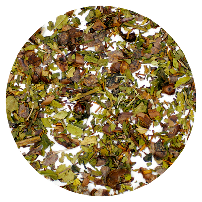Cocoa Mint