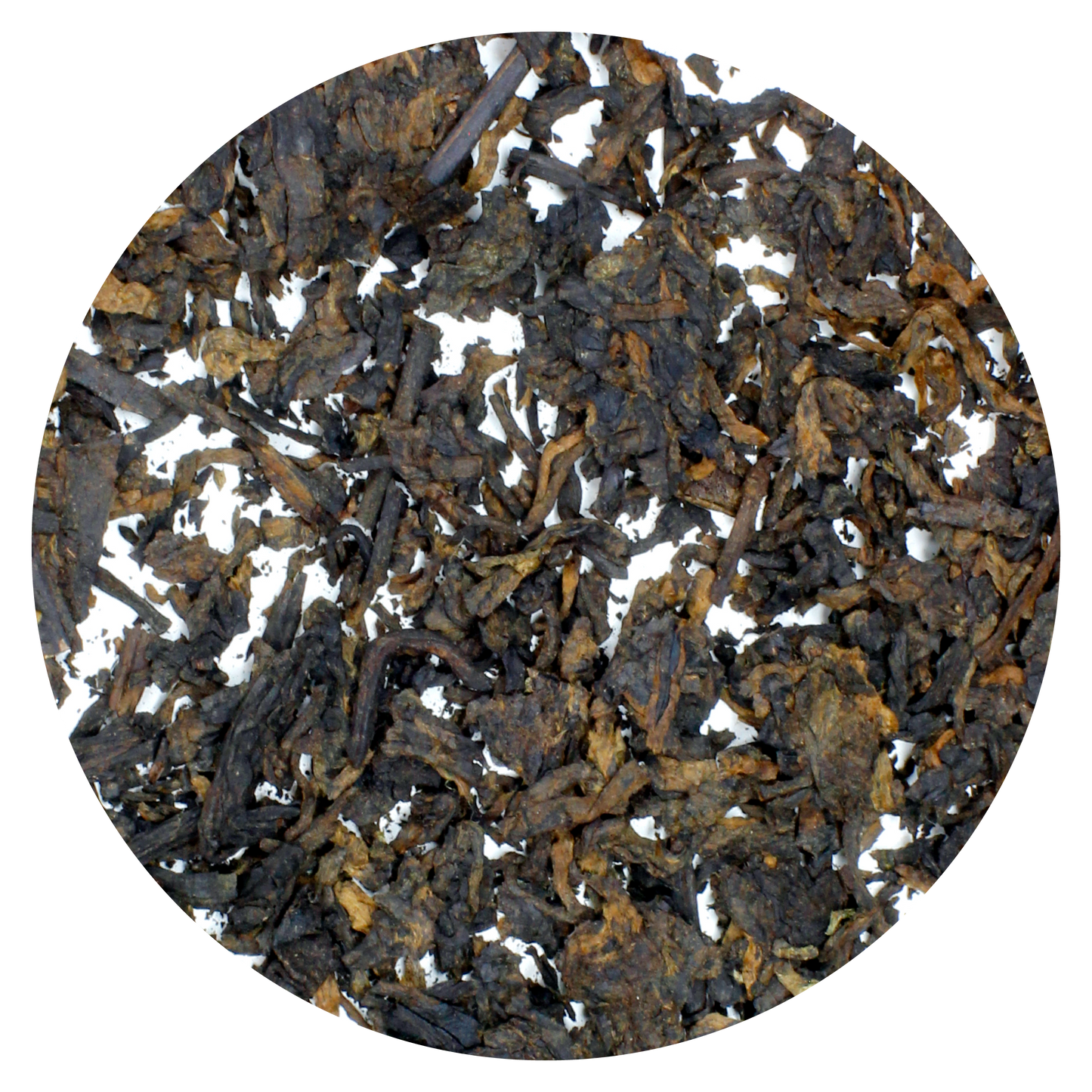 Fuzzy Forager: Shu Pu-Erh Bingcha