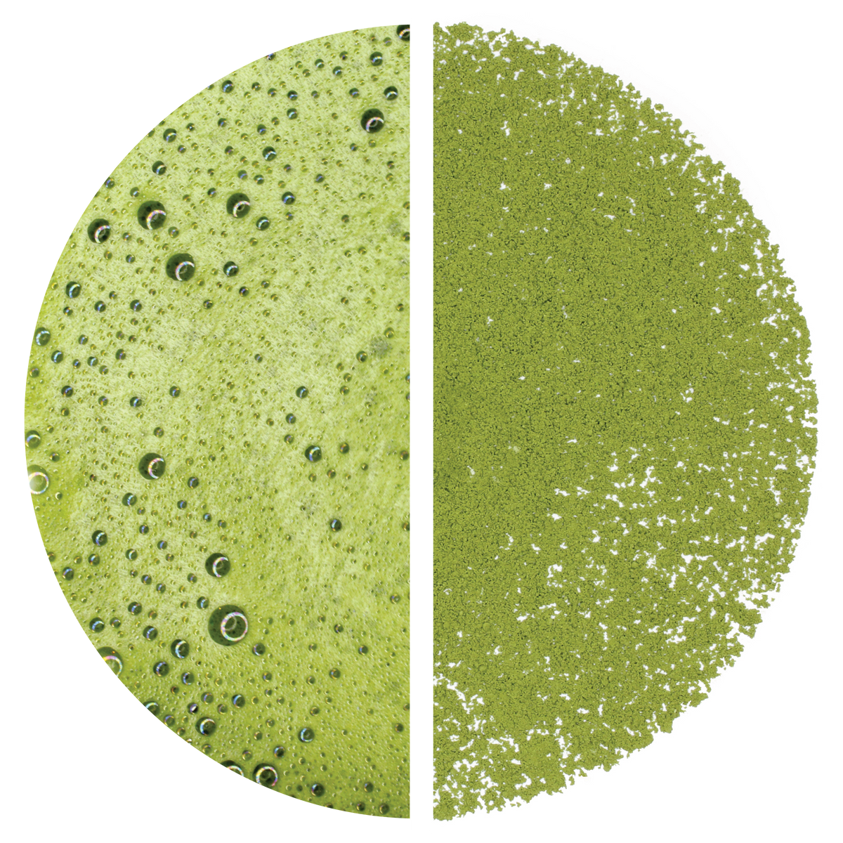 Matcha: Gabaron (Marukyu Koyamaen) - 40 g Tin