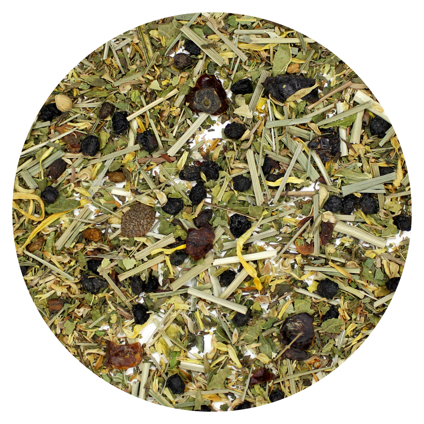 Herb Garden