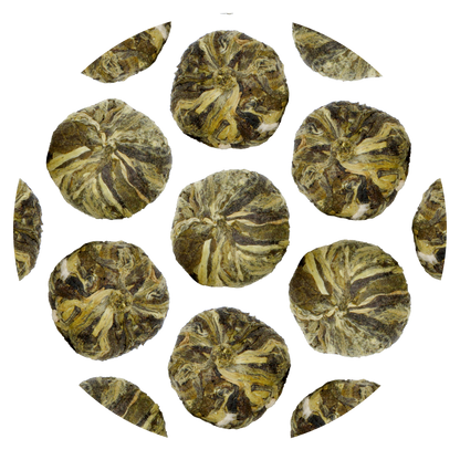 Jasmine Flowering Buds