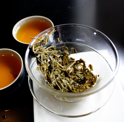 Jasmine: Yin Hao