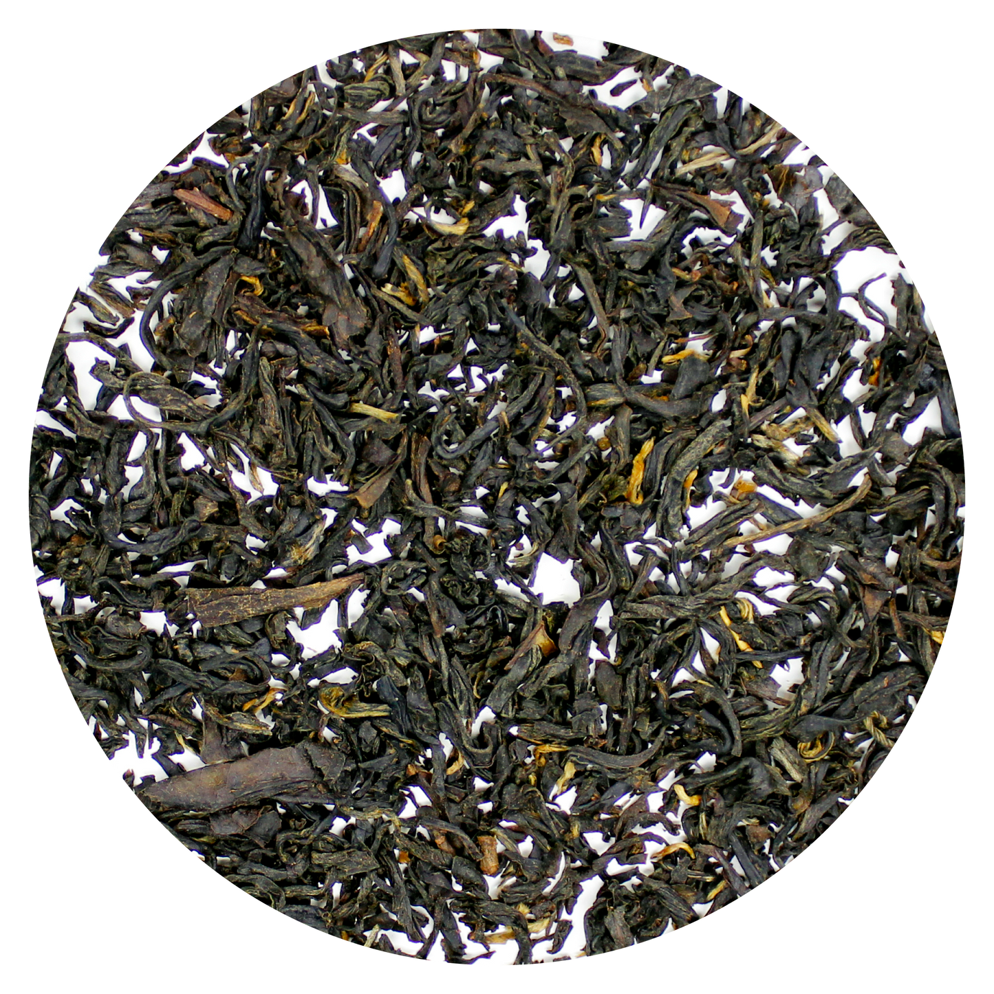 Lapsang Souchong