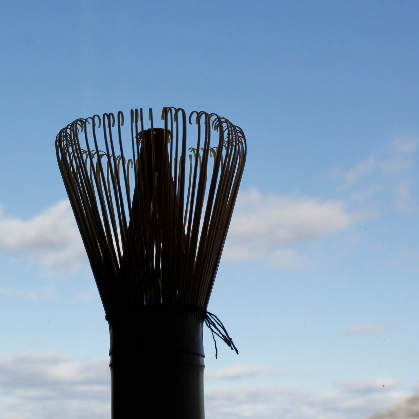 Bamboo Matcha Whisk - Chasen - in shadows with the blue sky behind it. 