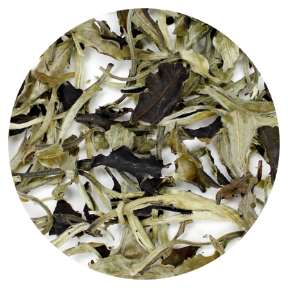 Moonlight White: Yue Guang Bai