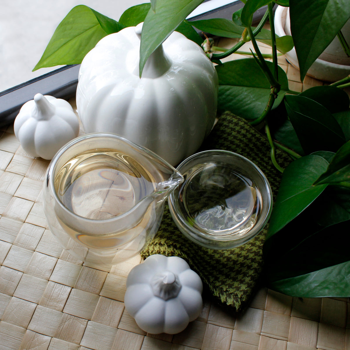 Moonlight White: Yue Guang Bai