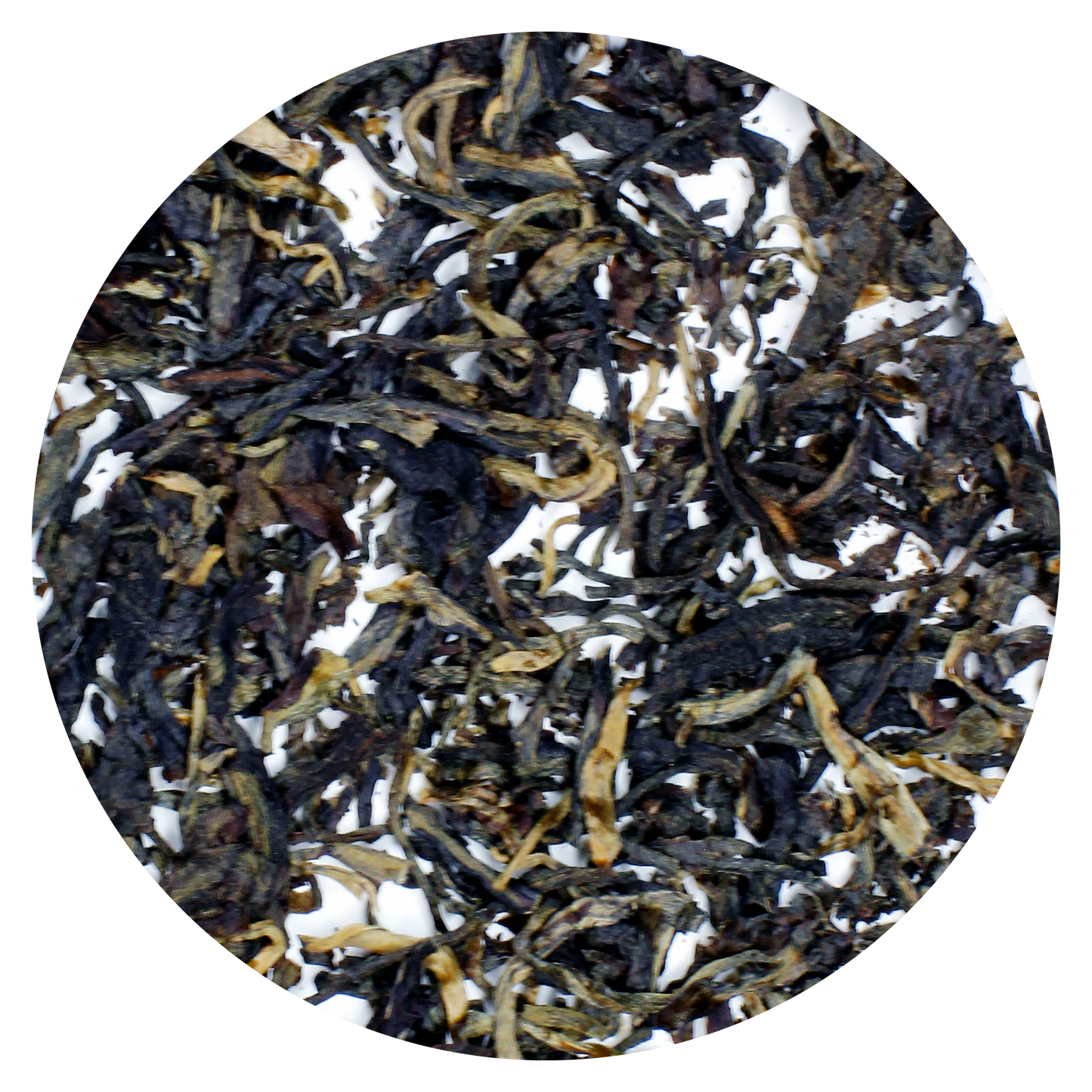 Morning Call: Sheng Pu-Erh Bingcha 2013