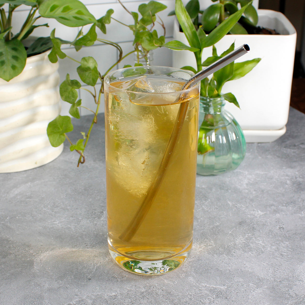 Moroccan Mint
