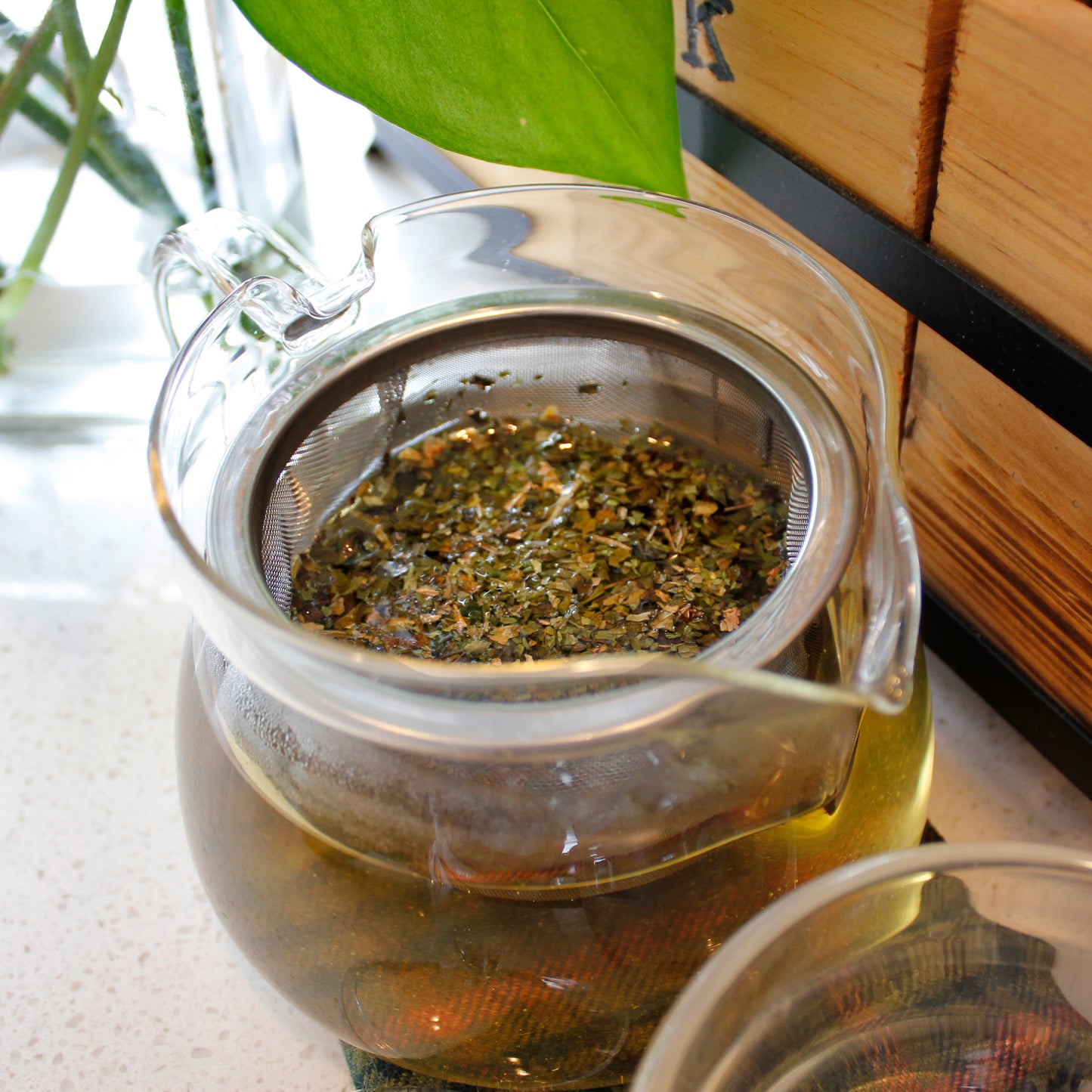 Moroccan Mint