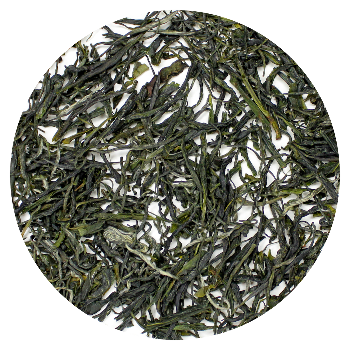 Pine Needle Green