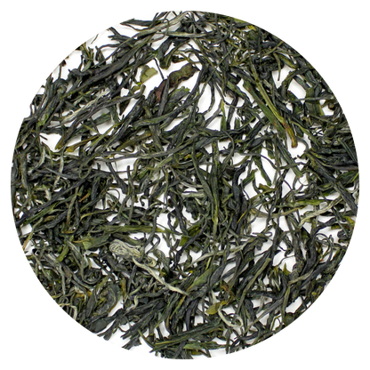 Pine Needle Green