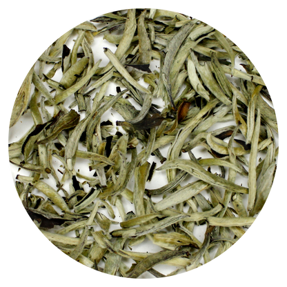 Silver Needles: Yin Zhen