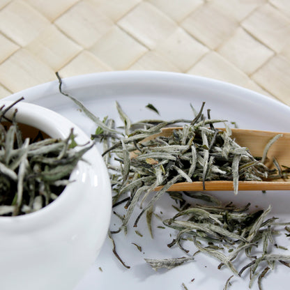 Silver Needles: Yin Zhen