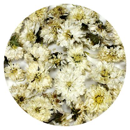 White Chrysanthemum Flowers
