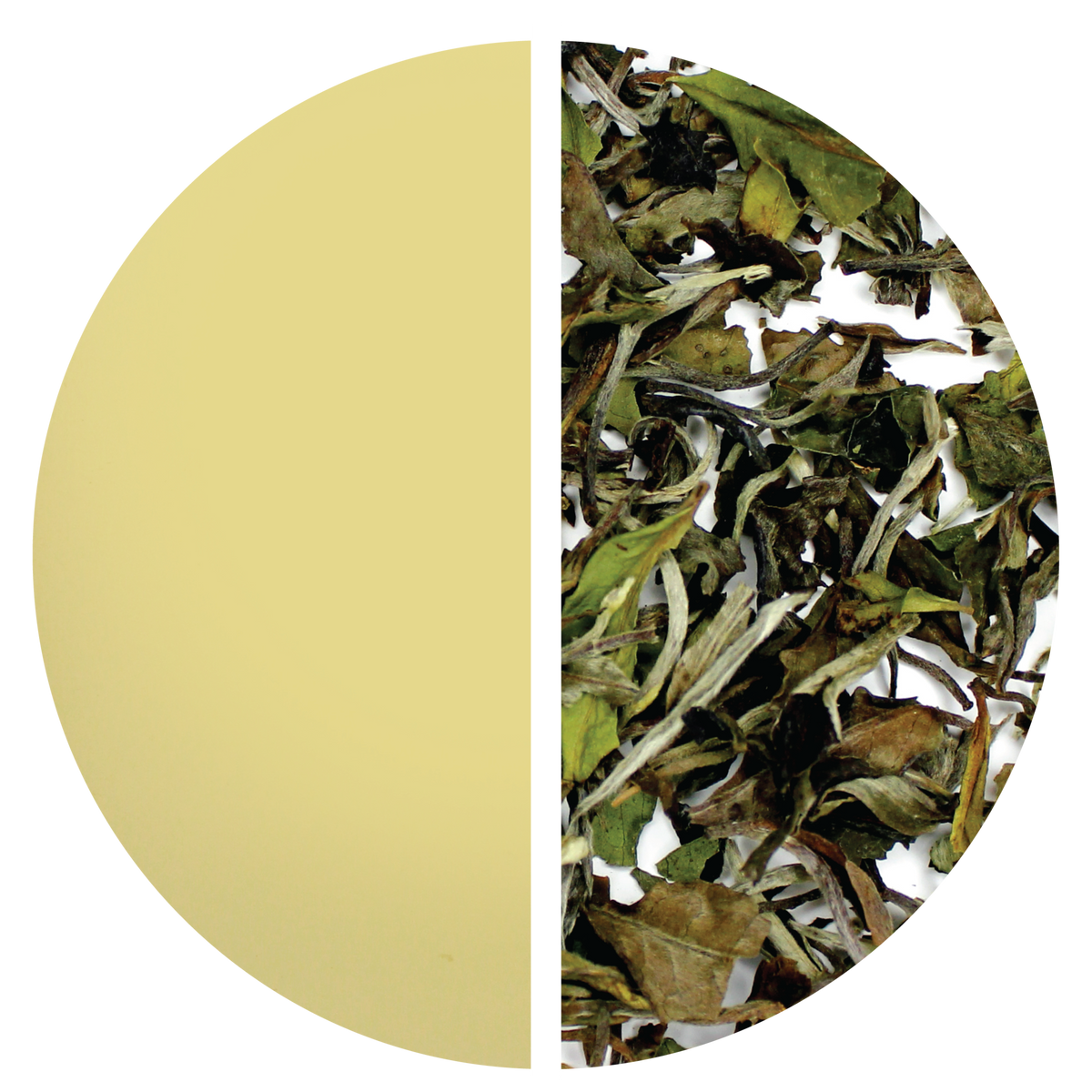 White Peony: Bai Mu Dan