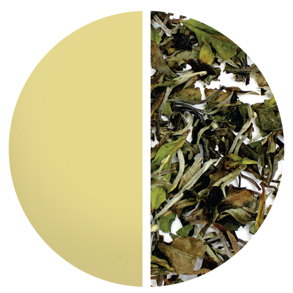 White Peony: Bai Mu Dan