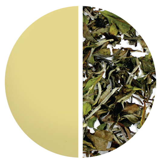 White Peony: Bai Mu Dan