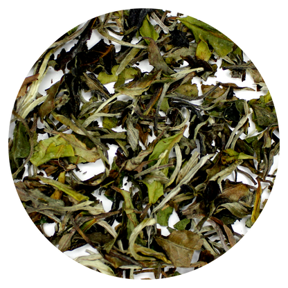 White Peony: Bai Mu Dan