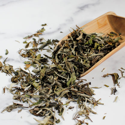 White Peony: Bai Mu Dan
