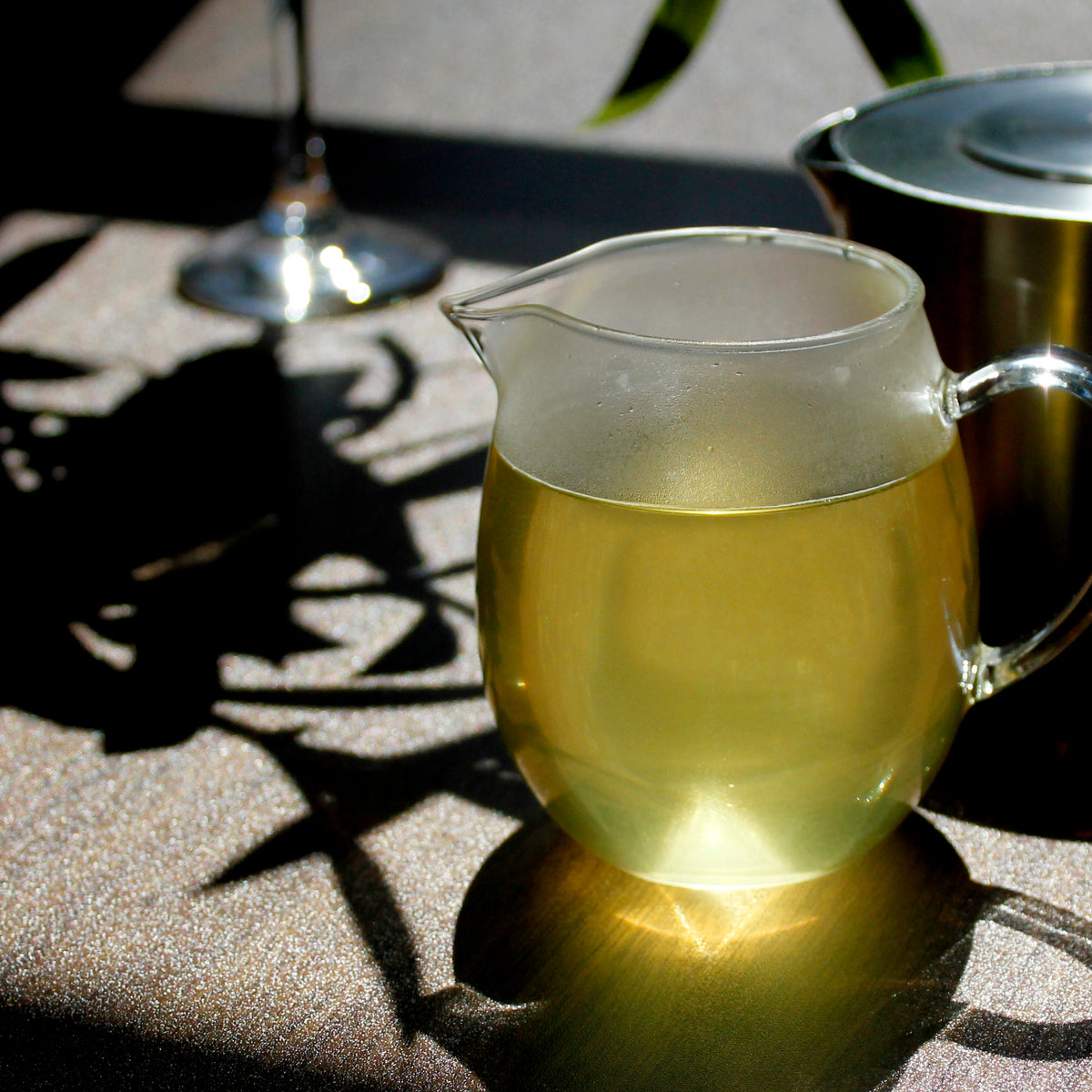 Yerba Maté